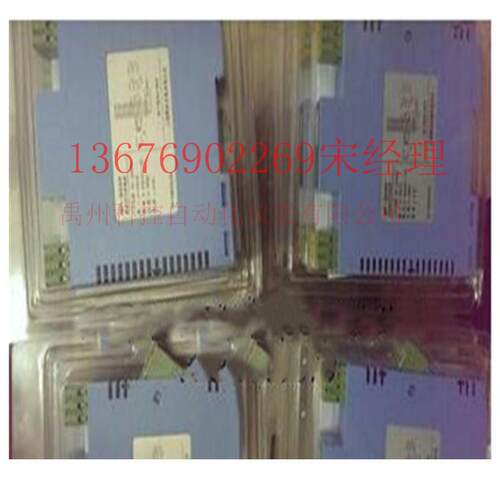 WP-6232安全SWP-202S栅12WP-202SX-BQ-1/12-2-A变送器模快