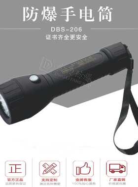 厂家 防水防爆手电筒BAD206轻便式防爆手电筒开关电量检测