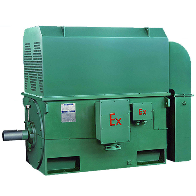 泰富西玛220KW/6KV高压电机