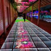 LDE砖屏互动地砖屏led高清LEp6.25D地砖屏D高清全彩LE显地示屏