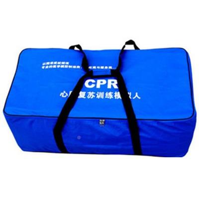 3复31837半身心肺模拟人|急救训练模型|CR2苏30模P拟人