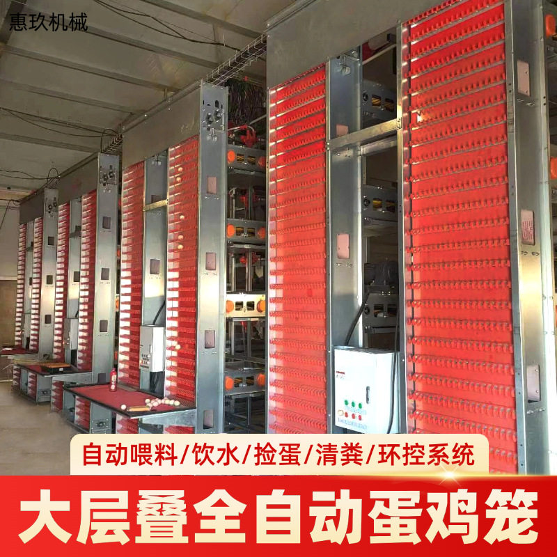 蛋鸡喂料集蛋清粪翻转式捡蛋机自动喂料全自动大层叠蛋鸡笼