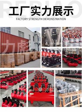 无油气泵空220v小型压机高压工业级空气压缩机携便木打RZQ工气泵