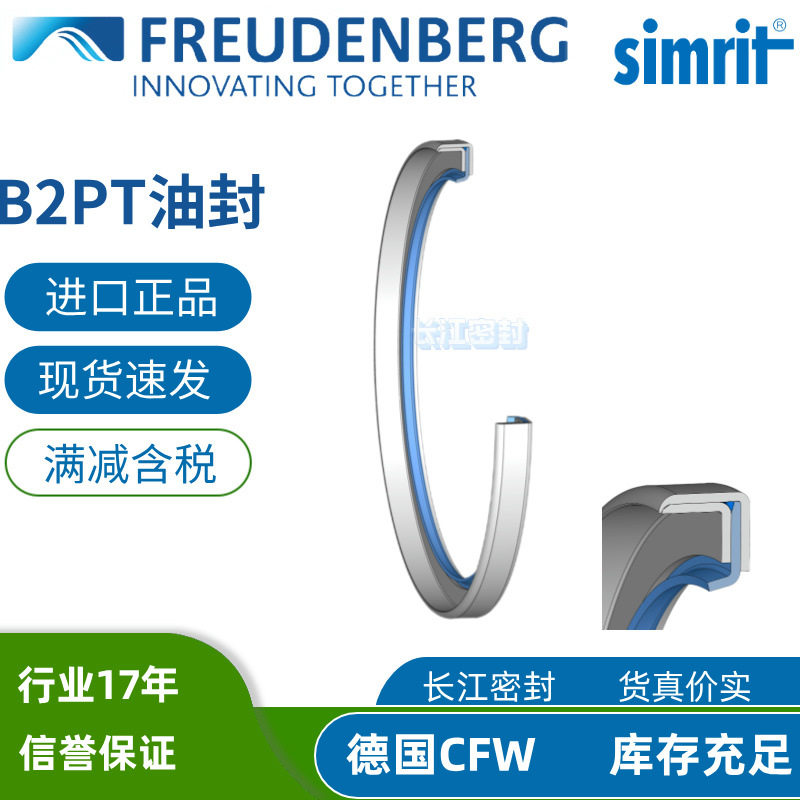 德国进口CFW油封B2PT多规格