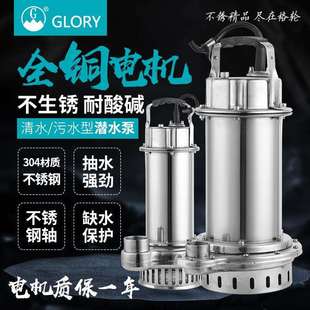 家用304不锈钢潜水泵220v抽水泵自动清水泵高扬程农用灌溉