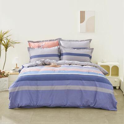 棉罩单被件棉全1儿童单舍人宿.5米TFP双人被罩