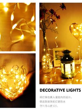 1671热卖铜线间灯串le诞d户外防24V低压圣水诞节爆款房圣树装饰灯