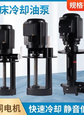 机床泵油泵DB-12/AB-2w5D-25/409/0w1B20w三ZXE相电泵冷却泵车床