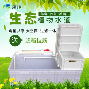 龟箱乌龟缸周转箱沼泽过滤箱水道生态缸内循环净水鱼龟混养滴流盒