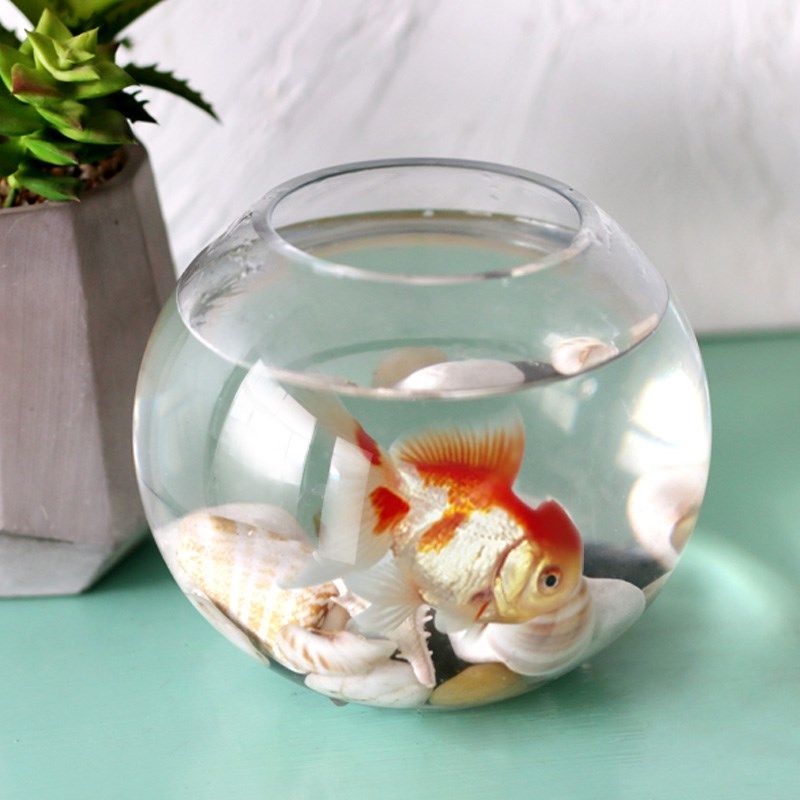 现代简约圆球玻璃花瓶加厚透明圆形鱼缸客厅餐桌插花水培装饰摆件,家居饰品,花瓶,淘宝优惠券,粉丝福利购,淘宝优惠卷
