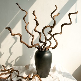 过江龙干枝藤条 家居摆设艺术树枝干花过江龙藤拍摄道具干枝树干