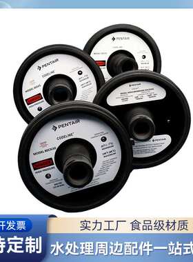 滨特尔CodeLine80S30 S45 CN30 R30反渗透膜壳端盖封头适配器端板