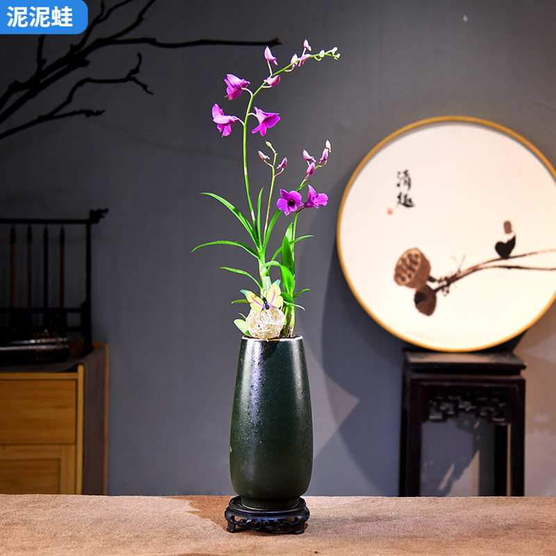 澳洲石斛兰盆栽观赏花卉简约中式绿植盆景好养室内客厅桌面植物