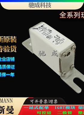 巴斯曼170M1368 170M1369 170M1518 大量现货销售 方体熔断器