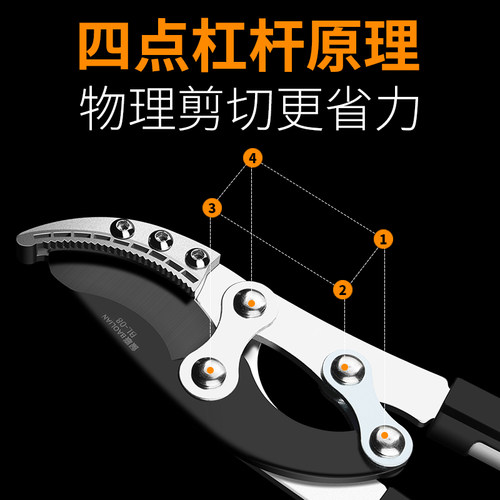 园艺粗枝剪大力剪枝果树修枝修剪树枝省力园林枝剪花剪强力大剪刀