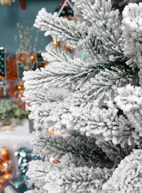 奋聚VC圣诞P树尖加密带彩灯植绒铅笔圣诞树头圣诞767树12c0m-300c