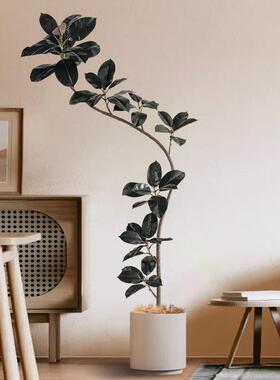 高端物奢仿真轻绿植黑皮金刚室内客厅假树IWQ仿生植橡树落地装饰
