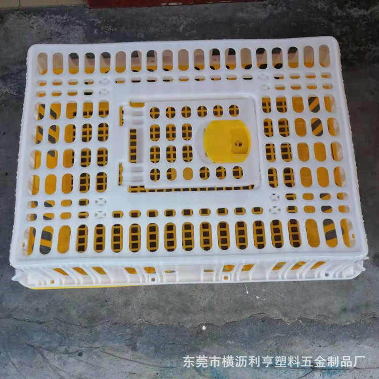 8.5斤加厚运输鸡笼黄白塑料鸡鸭笼弹簧自动扣家禽周转筐周转箱