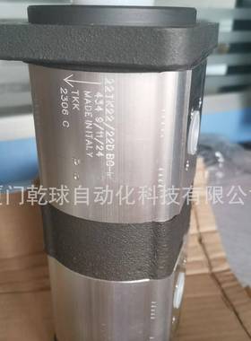 国外渠道意大利TKK双联泵22TK22/22DBC进口齿轮泵