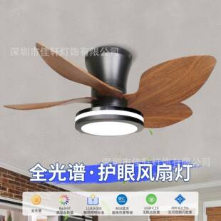 2025 欧规爆款跨境全光谱吸顶风扇卧室客厅过道风扇灯亚马逊110V