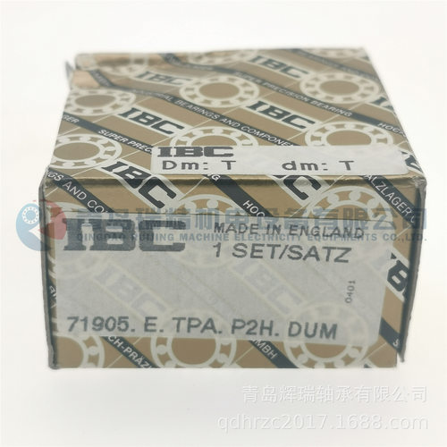 IBC精密角接触球轴承P2H/DUM