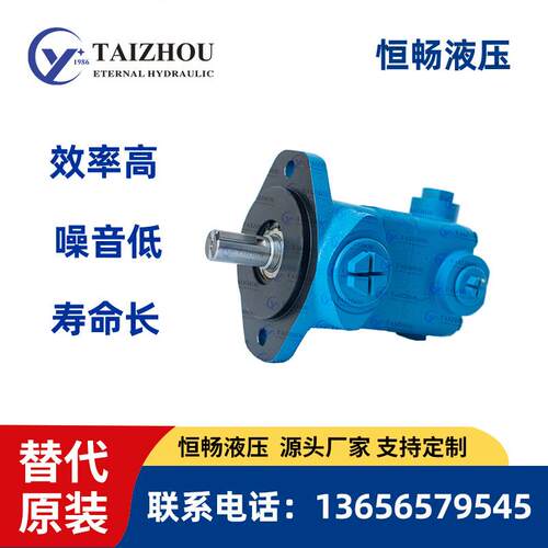 威格士液压系统叶片泵V10 V10F V10NF静音油泵定量泵小型液压泵