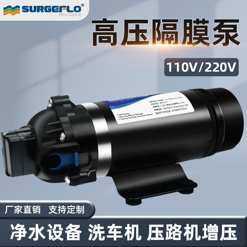 DP-160S超高杨程大压力泵110v 220v交流电压小型净水器增压路机泵