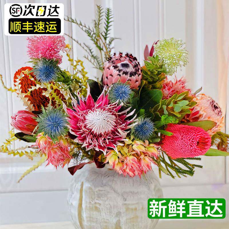 南非帝王花皇后公主进口粉色鲜切花顺丰包邮云南直发斑克木