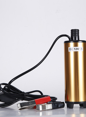 出油口19寸电动抽油泵便携12V/24v直立式汽车柴油泵潜水泵输油泵