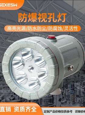 防爆视孔灯LED防爆反应釜灯照明灯BSD视镜灯5W10W延时探照灯24V22