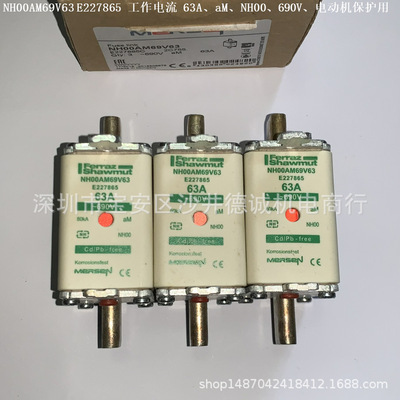 NH000AM69V10 S227854 熔断器 10A、NH000、aM、690V、电动机保护
