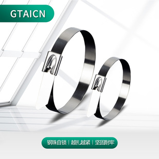 304不锈钢自锁7.9MM金属扎带电缆户外船用交通吊牌