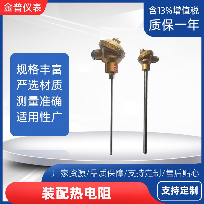 装配式热电阻铠装热电偶温度变送器K型高温铂热电阻测温传感器