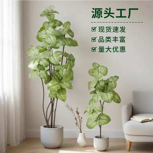 北欧风仿真绿植心叶榕琴叶榕盆栽室内家居落地装饰摆件软装假树