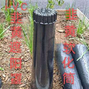 通用遮韭黄遮阳罩蒜黄塑料筒桶韭蒜黄种植筒韭蒜黄