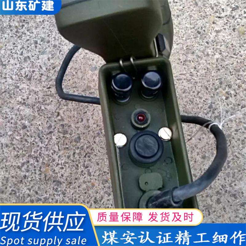 厂家供应便携式隔爆型磁石电话 本安型数字电话机 防爆磁石电话