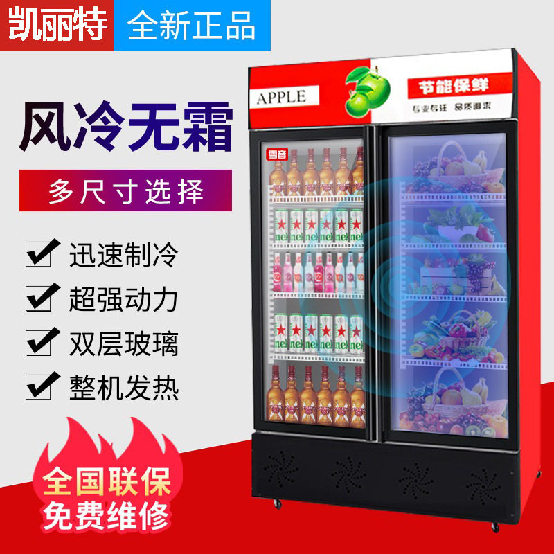 饮料展示柜啤酒柜商用冷藏冰柜双开门冷饮柜单门冷藏立式保鲜柜