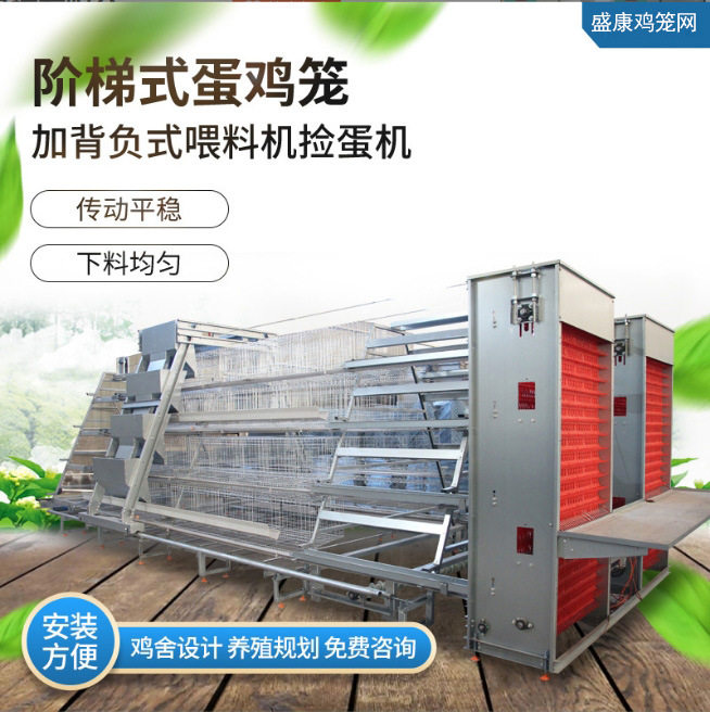 阶梯式蛋鸡笼养殖场家用养鸡设备热镀锌蛋鸡笼具加捡蛋机全自动