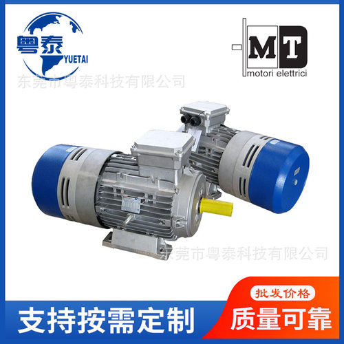 意大利MT刹车电机 TF63B4 71B4 80B4 90L4 TFP100B4 TFP112B4 132