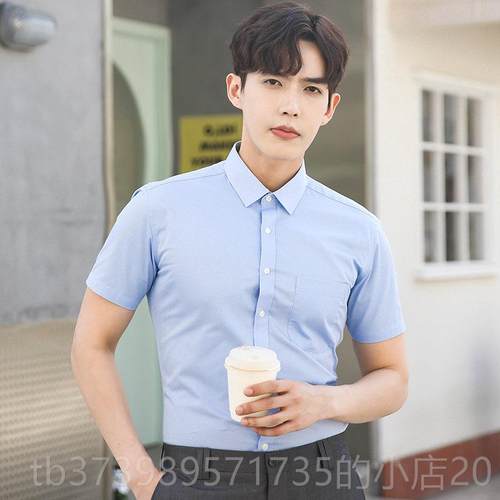正品浅蓝色短袖衫男夏季薄款工作服衬业商面务正职装试男士西装衬