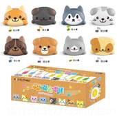 正品 音猫咪闪光女抖音喵喵合唱团汪汪阶演少乐器弹琴演唱奏猫音乐