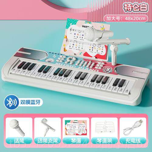 新款儿乐童多功能电子琴玩具女孩初学可宝弹奏女童入门者宝音钢琴