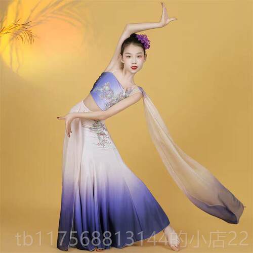 正品儿傣族彩舞蹈服儿云之南幼舞蹈服装孔雀舞演童出服女艺考表演