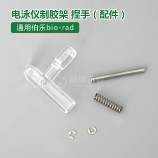 伯乐 BIO-RAD 电泳仪制胶夹 透明夹子1653303制胶架 捏手、配件