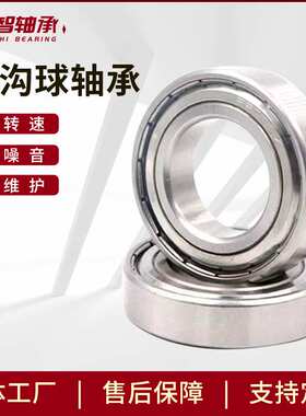 供应汽车轴承30D7218FS-2RS 6404X2TN1 32TM03RS
