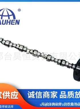 道依茨BF6M1013FC凸轮轴04254784 04293672 04258652 04501471