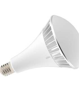 灯泡定制防水球泡灯套件30W-80WLED别墅室内球泡灯厂家