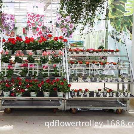 玫瑰展示花架 带脚轮 青岛伊莱特花架展示车 可移动鲜花陈列架