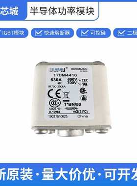 电动汽车熔断器 保险丝 巴斯曼 质量保证 170M4416