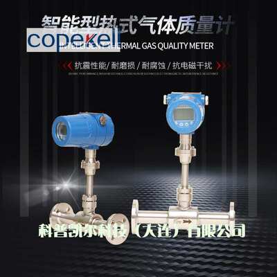 厂家现货热式气体质量流量计压缩空气天然气流量计微小型流量